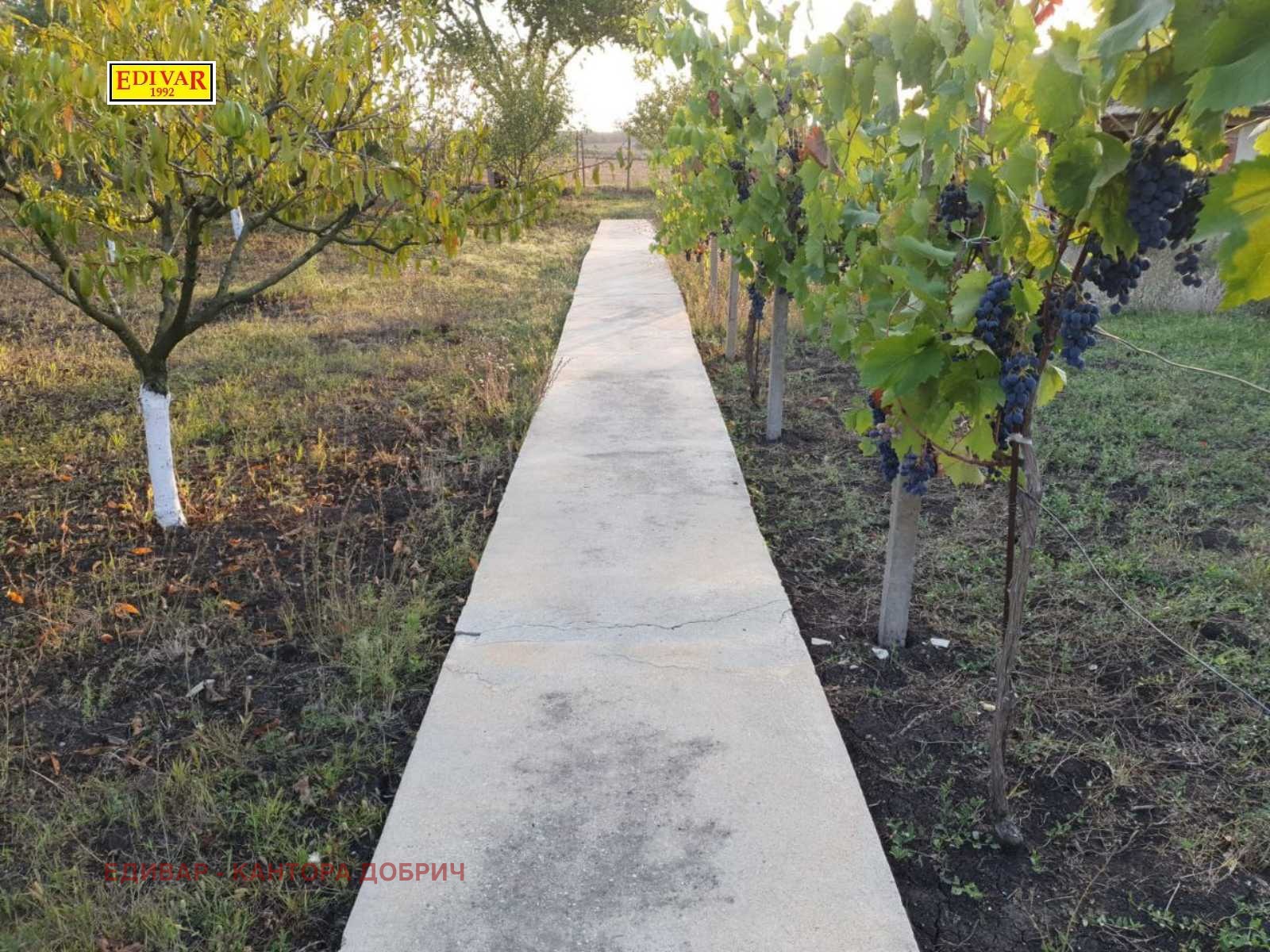 ������� ���� | Imot.bg � ����������� 15