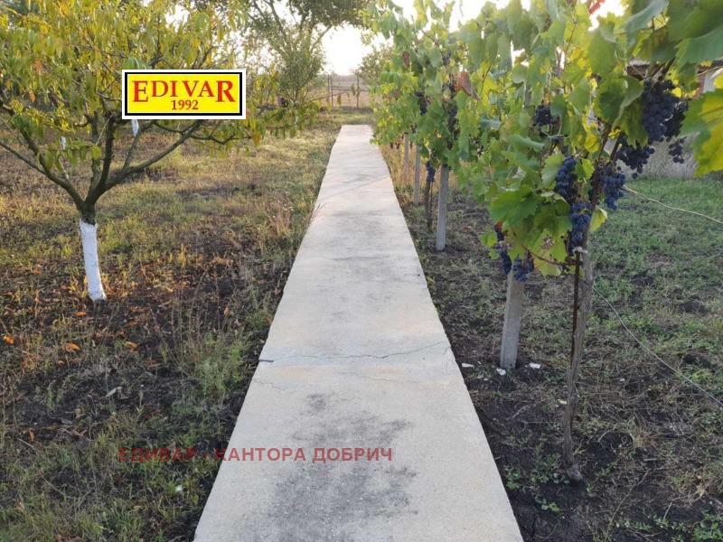 Продава КЪЩА, с. Славеево, област Добрич, снимка 14 - Къщи - 53061413