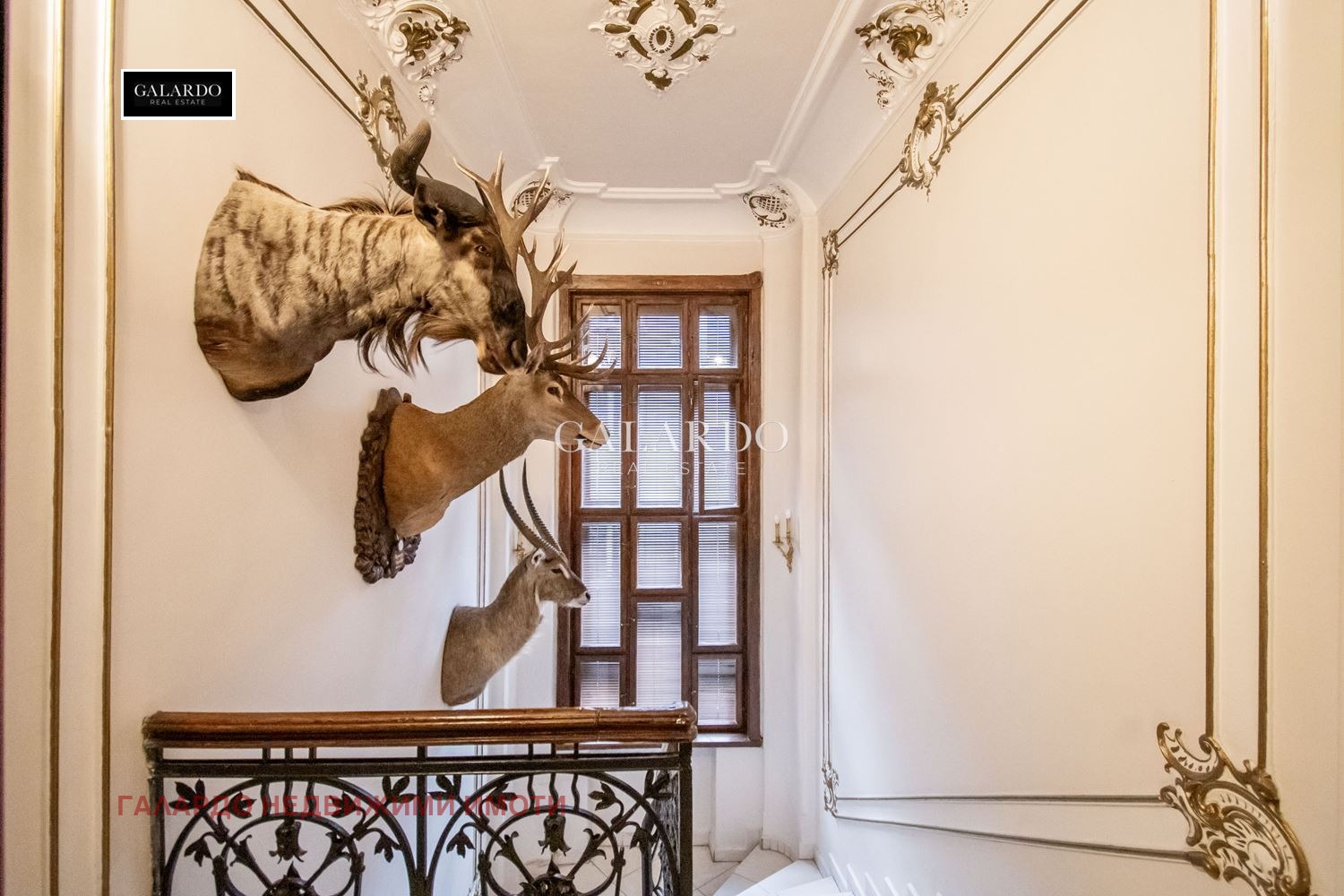 ������� ������� | Imot.bg � ����������� 10