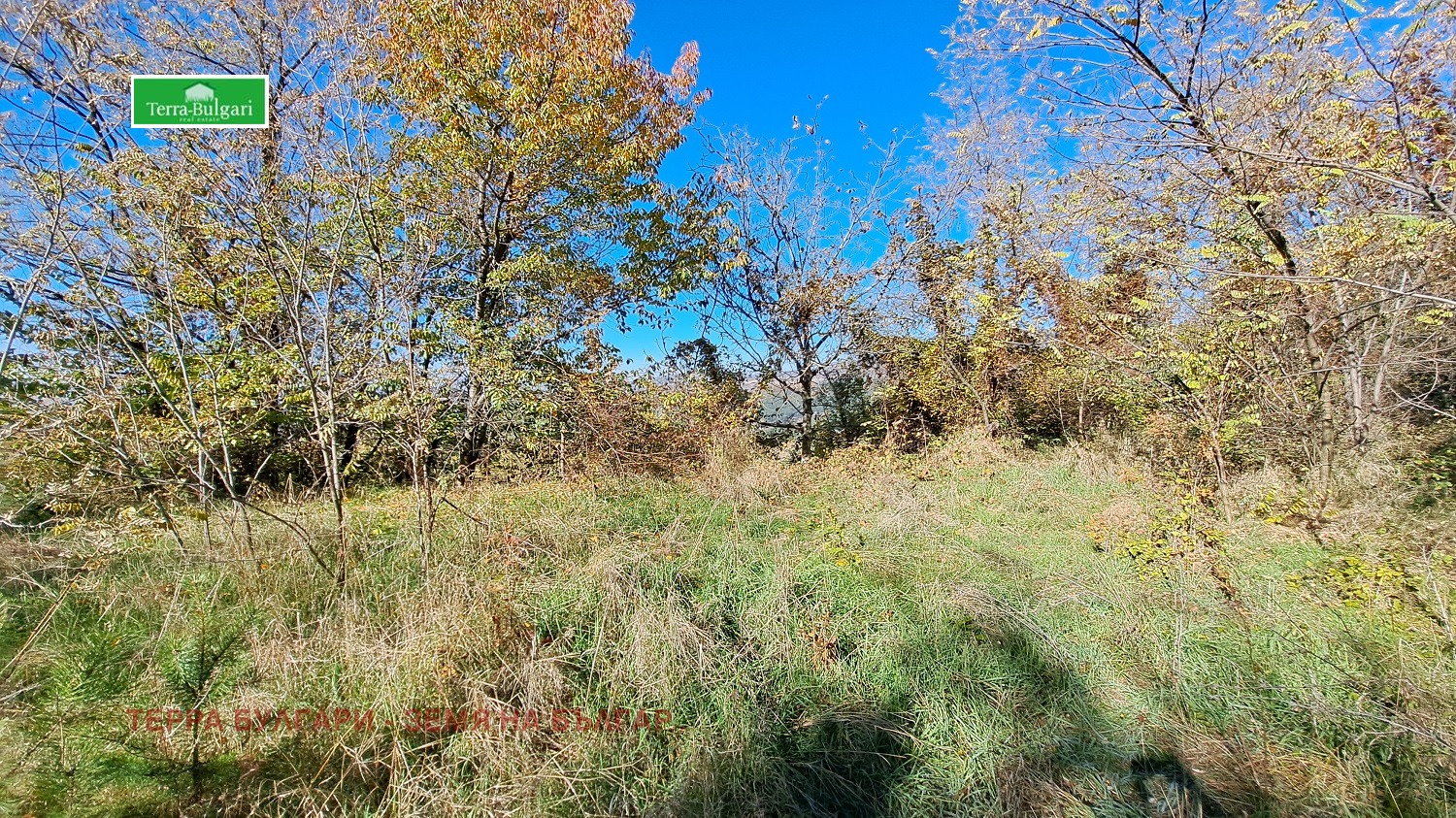 Продава КЪЩА | Imot.bg — изображение 6