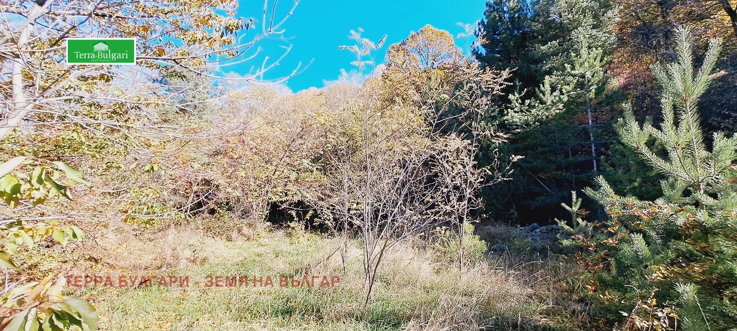 Продава КЪЩА | Imot.bg — изображение 5