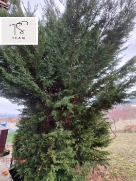 ������� ���� | Imot.bg � ����� ������ 13