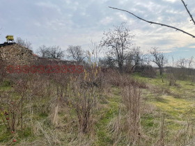 Hus Tjirpan, region Stara Zagora 7