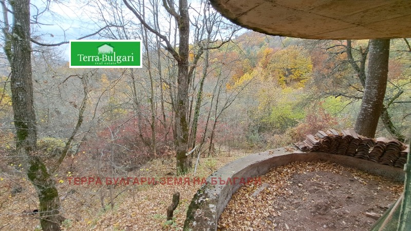 Продава ВИЛА, с. Ръжавец, област Перник, снимка 10 - Вили - 52645025