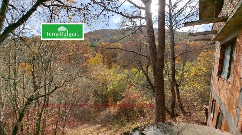 Продава ВИЛА, с. Ръжавец, област Перник, снимка 17 - Вили - 52645025