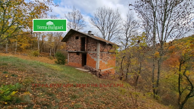 Продава ВИЛА, с. Ръжавец, област Перник, снимка 2 - Вили - 52645025