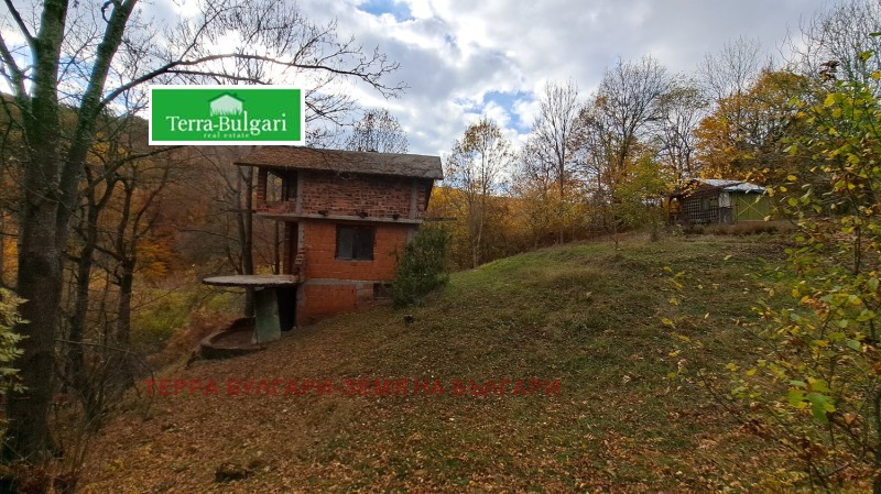 Продава ВИЛА, с. Ръжавец, област Перник, снимка 3 - Вили - 52645025