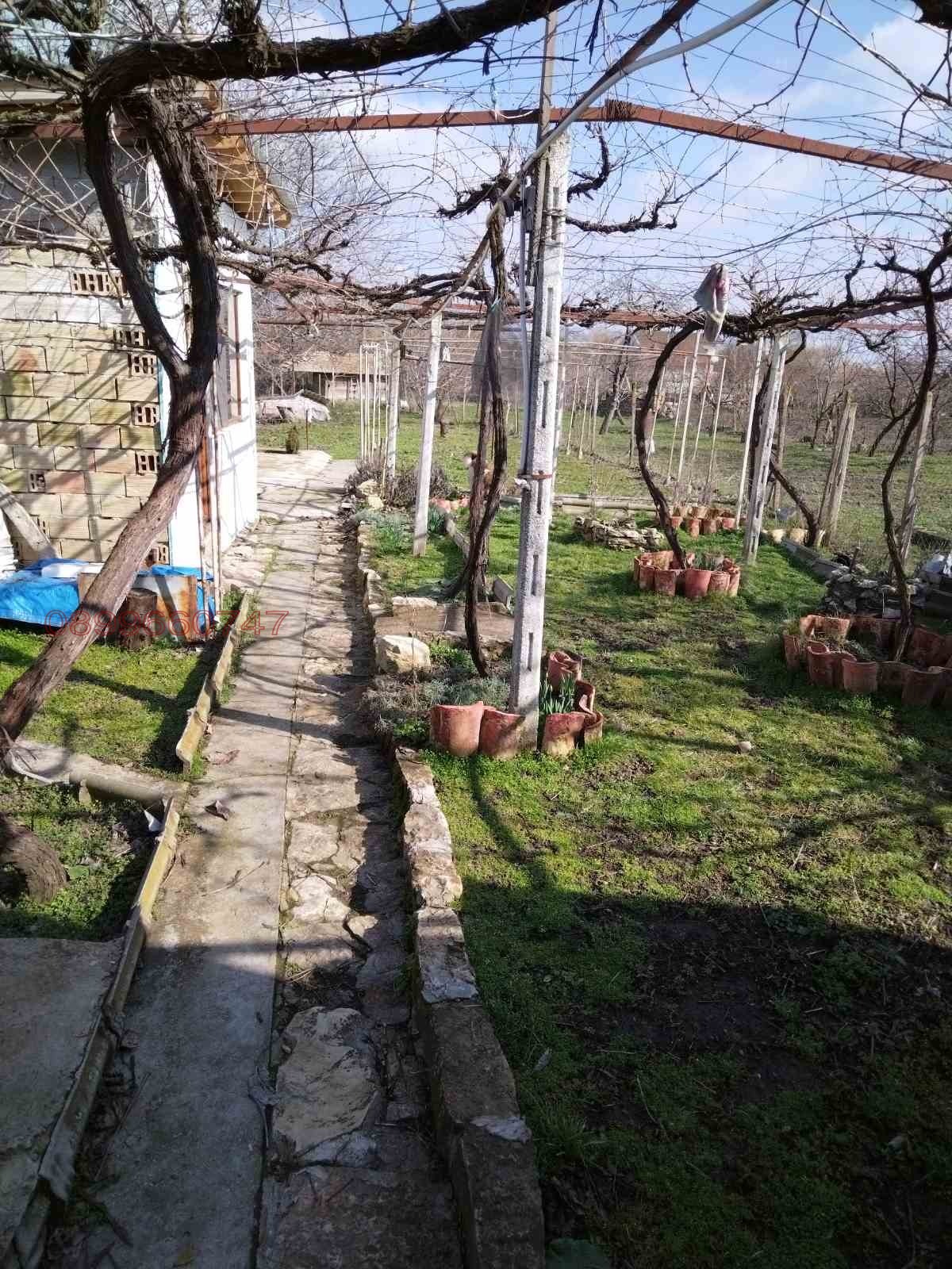 Продава КЪЩА, с. Златна нива, област Шумен, снимка 14 - Къщи - 53649224