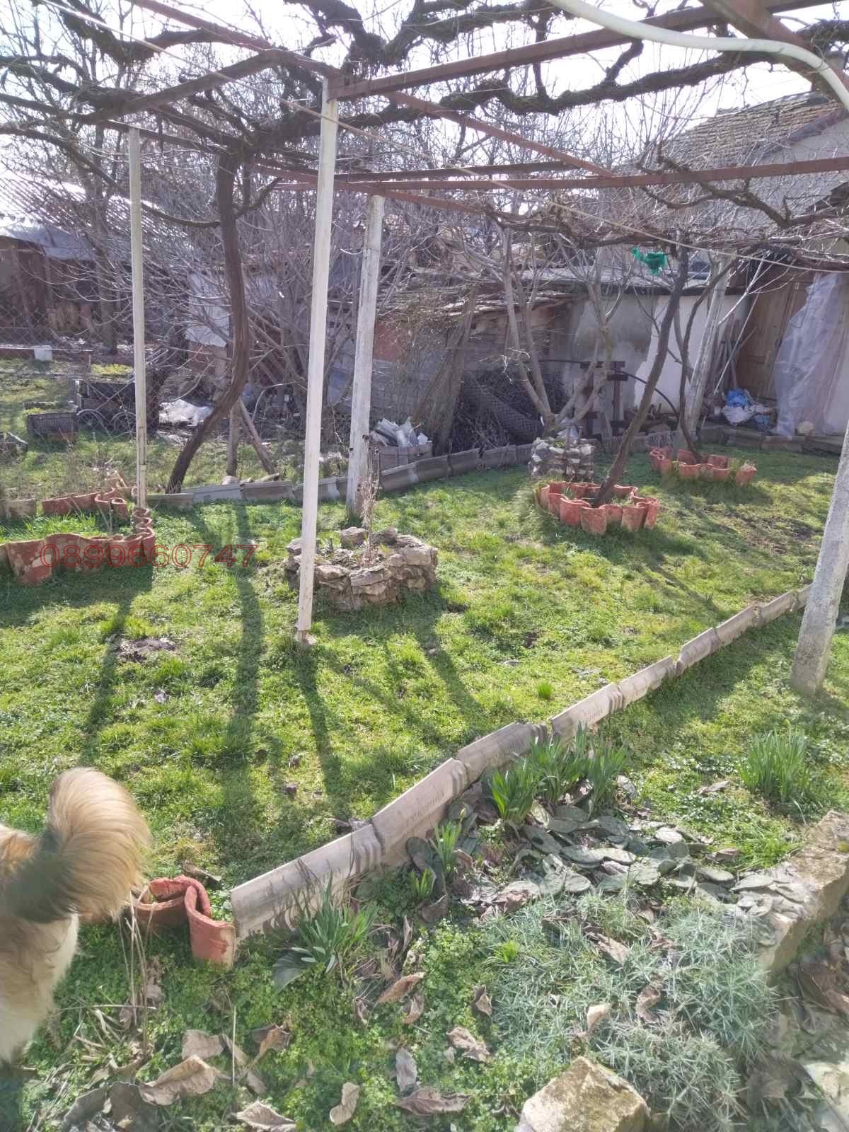 Продава КЪЩА, с. Златна нива, област Шумен, снимка 15 - Къщи - 53649224