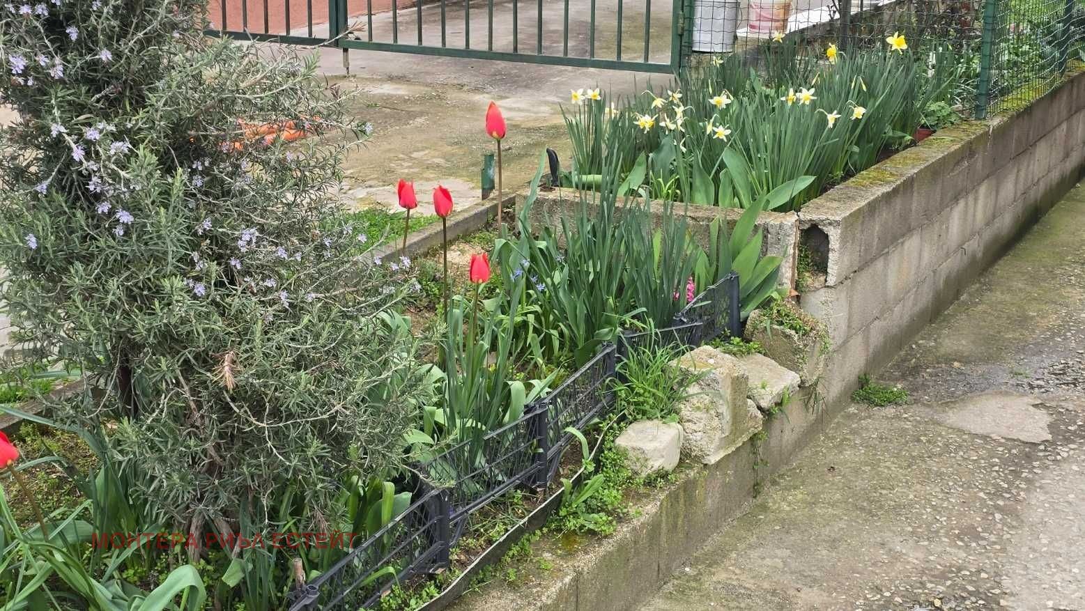 ������� 3-����� | Imot.bg � ����������� 9