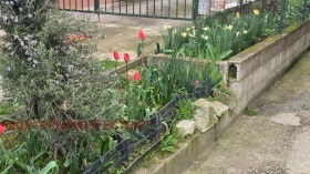 ������� 3-����� | Imot.bg � ����� ������ 9