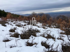 Plott Brestovitsa, region Plovdiv 3