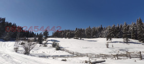 ������� ������ | Imot.bg � ����� ������ 9