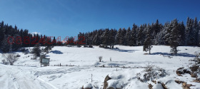 ������� ������ | Imot.bg � ����� ������ 16