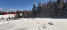 ������� ������ | Imot.bg � ����� ������ 11