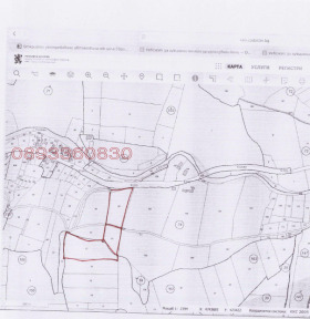 ����� ������� ���������� ����,�. ������, ������ �����