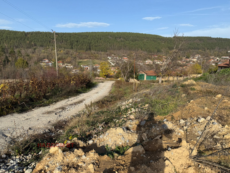 Продава ПАРЦЕЛ, с. Присово, област Велико Търново, снимка 7 - Парцели - 52489990