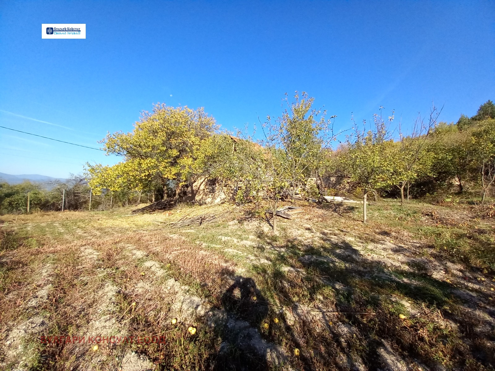 ������� ������ | Imot.bg � ����������� 5