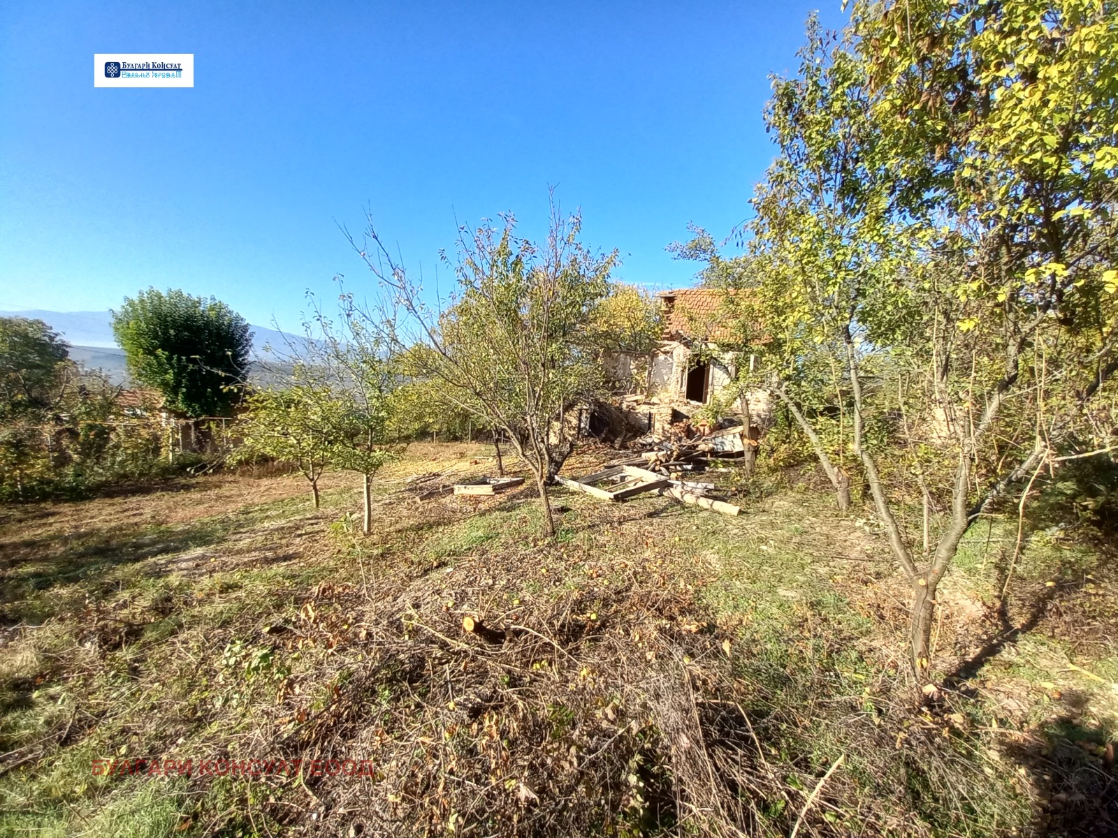 ������� ������ | Imot.bg � ����������� 7