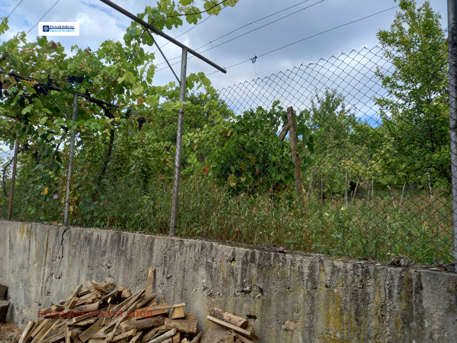 ������� ������ | Imot.bg � ����������� 16