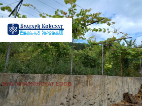 ������� ������ | Imot.bg � ����� ������ 13