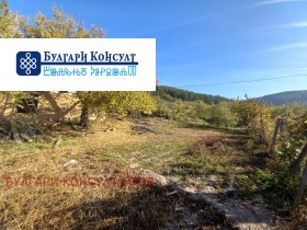 ������� ������ | Imot.bg � ����� ������ 3