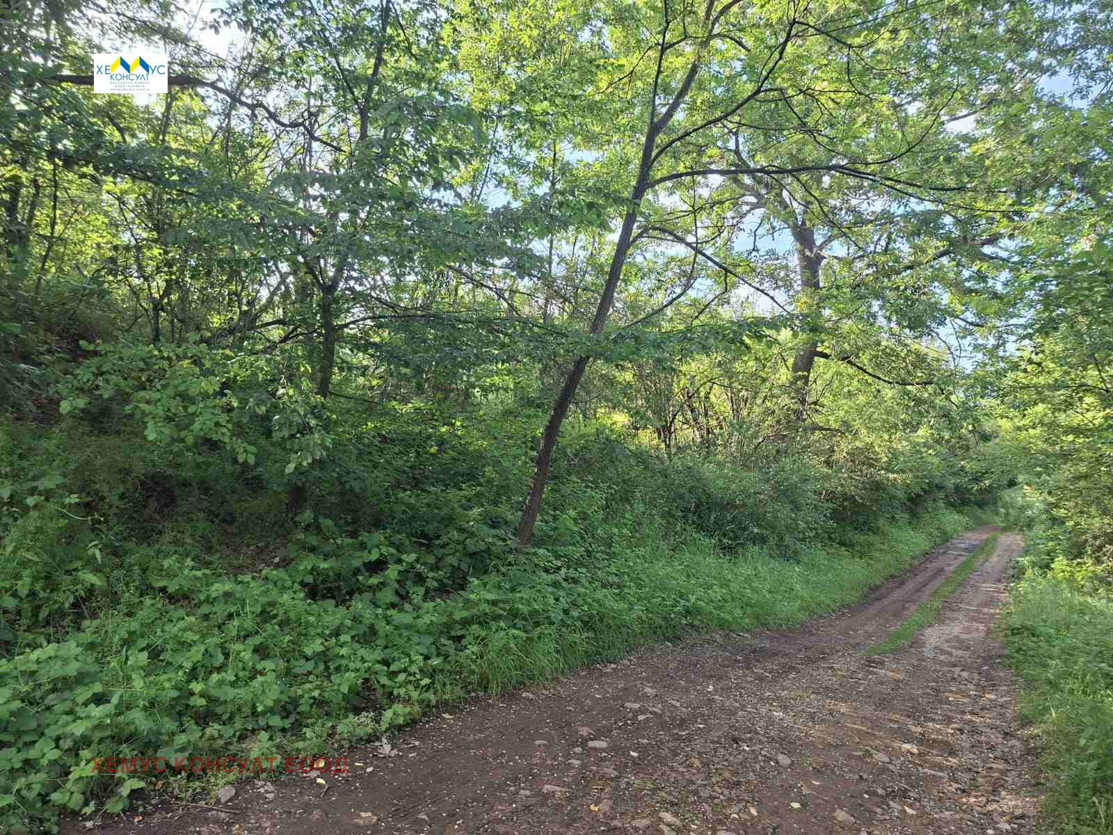 Продава ПАРЦЕЛ, с. Голяма Желязна, област Ловеч, снимка 2 - Парцели - 54854749