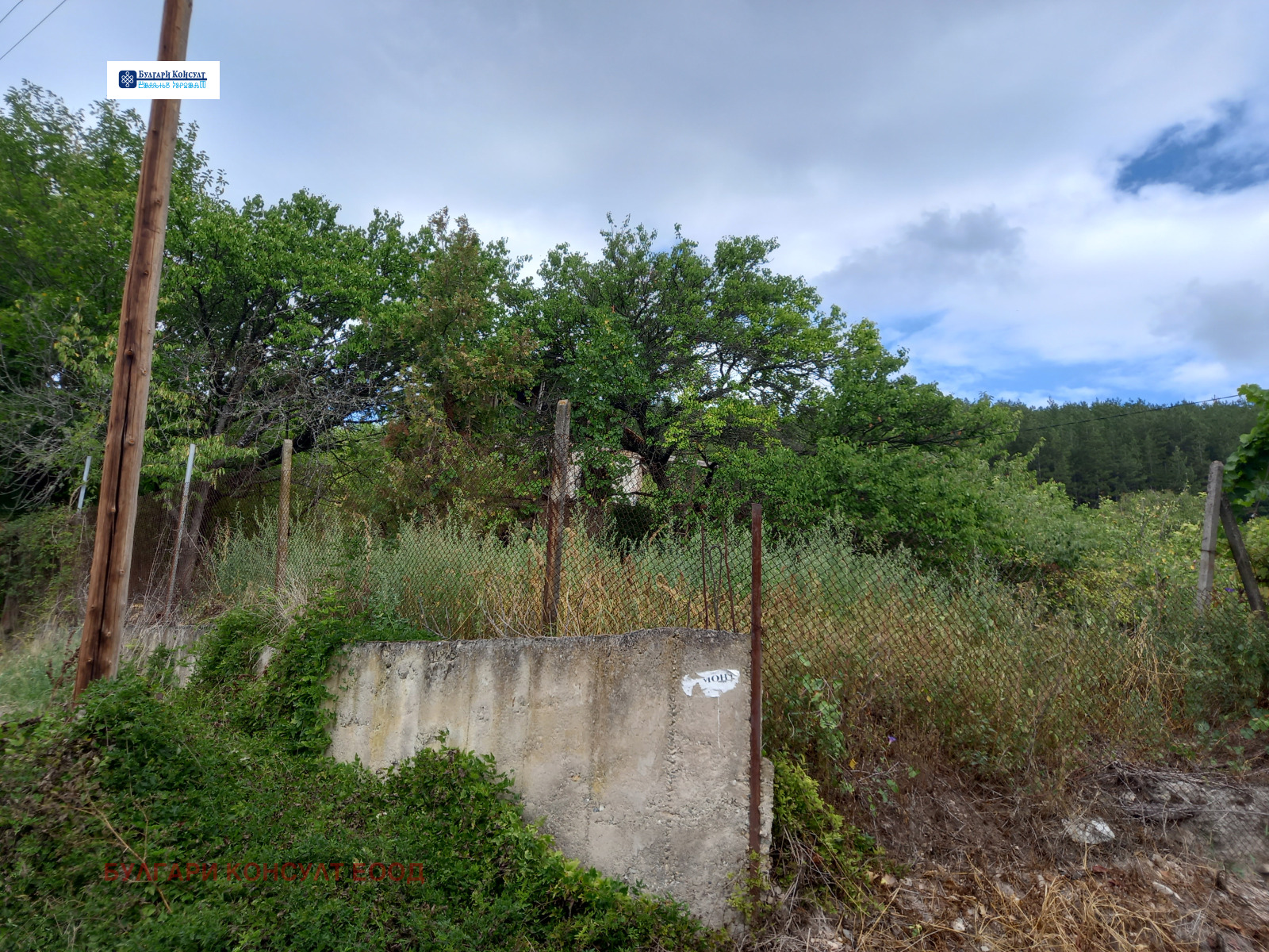 Продава ПАРЦЕЛ, с. Шипочано, област Кюстендил, снимка 14 - Парцели - 56658004