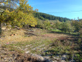 Продава ПАРЦЕЛ, с. Шипочано, област Кюстендил, снимка 1