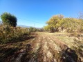 Продава ПАРЦЕЛ, с. Шипочано, област Кюстендил, снимка 4