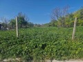Продава ПАРЦЕЛ, област Варна, гр. Дългопол • 21000 лв. • 92272057 — Holmes.bg