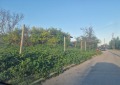 Продава ПАРЦЕЛ, област Варна, гр. Дългопол • 21000 лв. • 92272057 — Holmes.bg