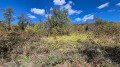 Продава ПАРЦЕЛ, област Габрово, с. Дивеци • 185000 лв. / 94589.00 € • 89125143 4