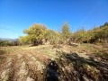 Продава  Парцел област Кюстендил , с. Шипочано , 893 кв.м | 57191842 - изображение [5]