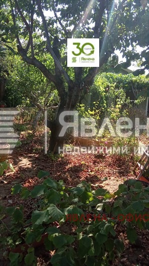 For Sale  House Varna , m-t Borovets - yug , 40 sq.m | 96387529
