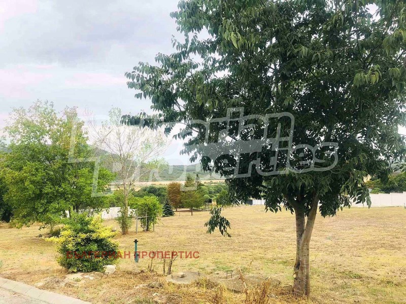 À venda  Trama região Dobrich , Obrotchichtche , 25000 m² | 31081326 - imagem [11]