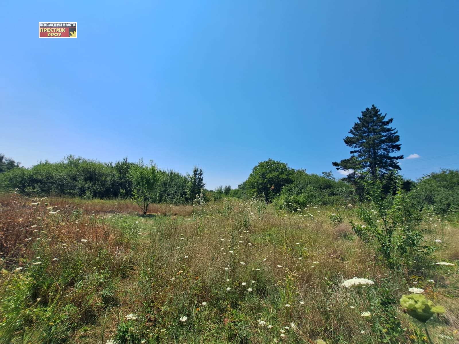 Продава ПАРЦЕЛ, с. Мировци, област Шумен, снимка 2 - Парцели - 42150601