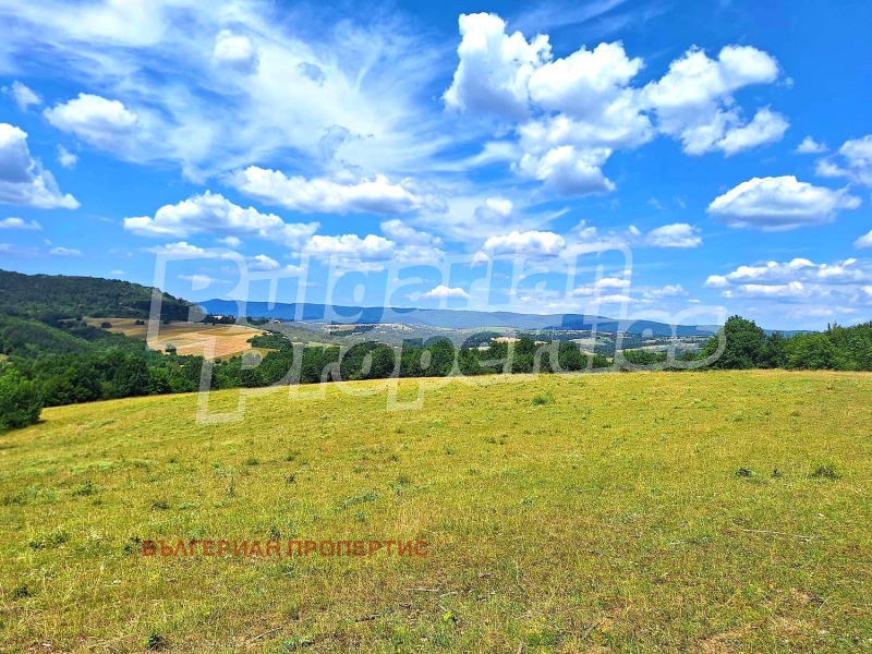 Til salg  Hus region Veliko Tarnovo , Bojkovtsi , 76500 kvm | 81403486 - billede [3]