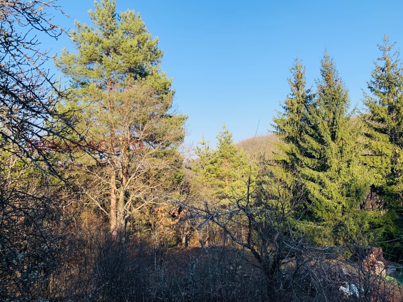 Продава КЪЩА, с. Макоцево, област София област, снимка 6 - Къщи - 53519265