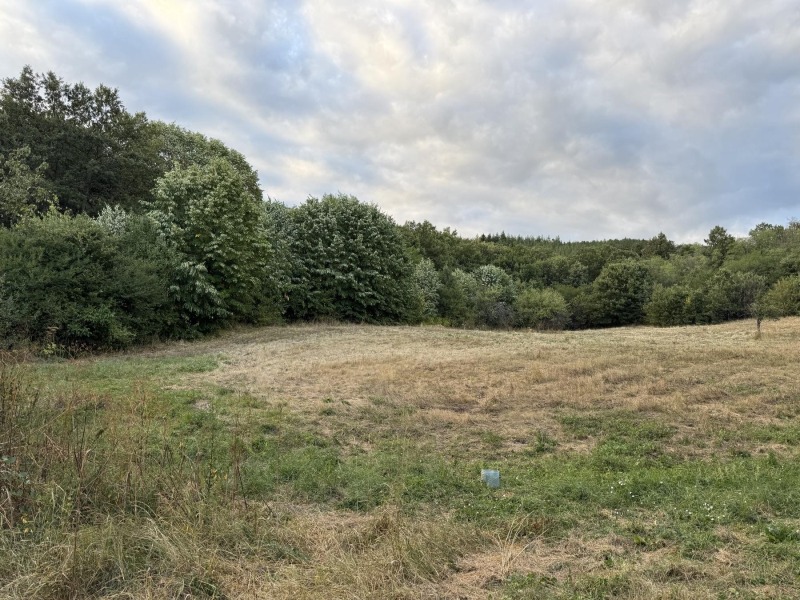 Продава ПАРЦЕЛ, с. Горно Камарци, област София област, снимка 2 - Парцели - 53151181