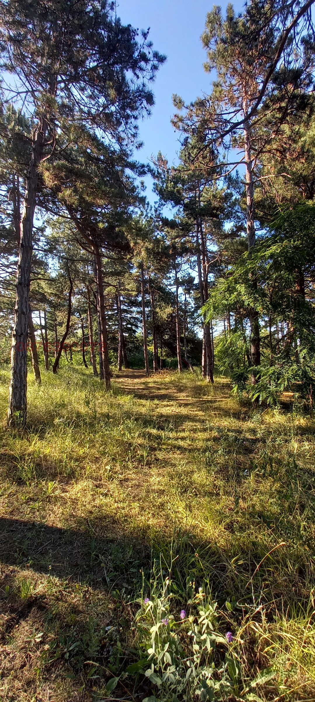 Продава 2-СТАЕН, гр. Поморие, област Бургас, снимка 16 - Апартаменти - 55048554