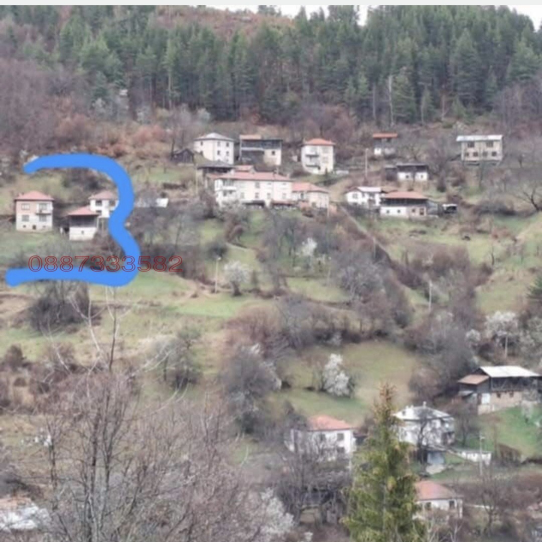 Продава КЪЩА, с. Орешец, област Смолян, снимка 11 - Къщи - 55202394