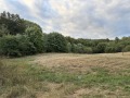 Продава ПАРЦЕЛ, с. Горно Камарци, област София област, снимка 2