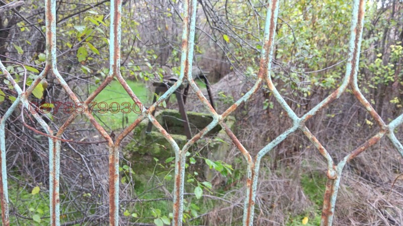 Продава КЪЩА, с. Малорад, област Враца, снимка 3 - Къщи - 52784206