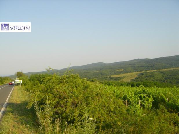 Продава ЗЕМЕДЕЛСКА ЗЕМЯ, с. Баня, област Бургас, снимка 4 - Земеделска земя - 37788754