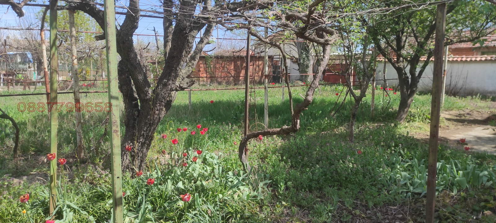 ������� ���� | Imot.bg � ����������� 13