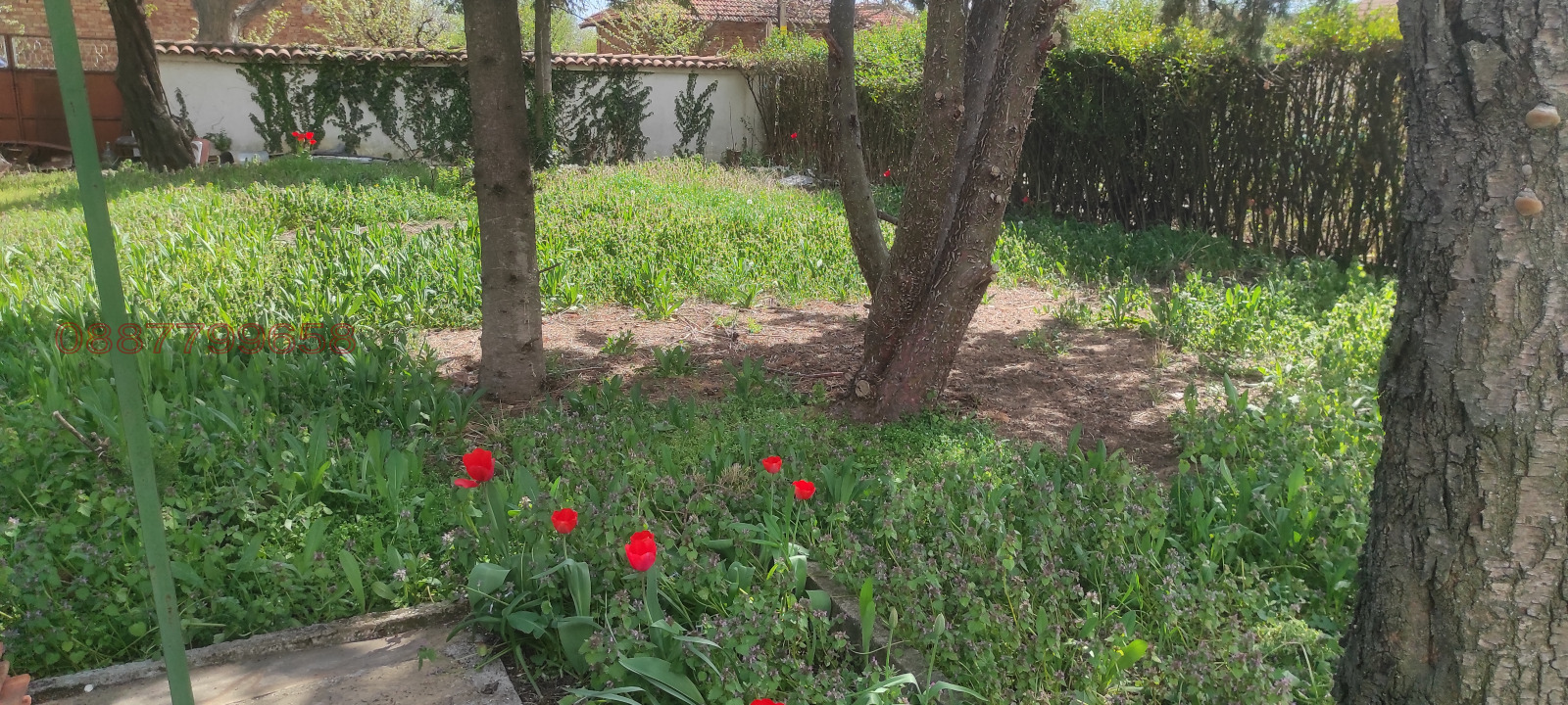 ������� ���� | Imot.bg � ����������� 5