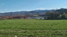 ����� ������� ������,�. ������ �������, ������ �����