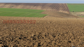 ������ ������� ���������� ����