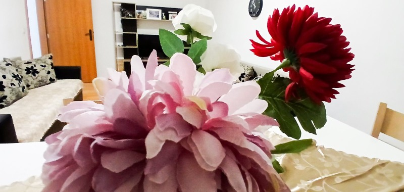 Продава 3-СТАЕН, с. Оброчище, област Добрич, снимка 3 - Апартаменти - 53126498